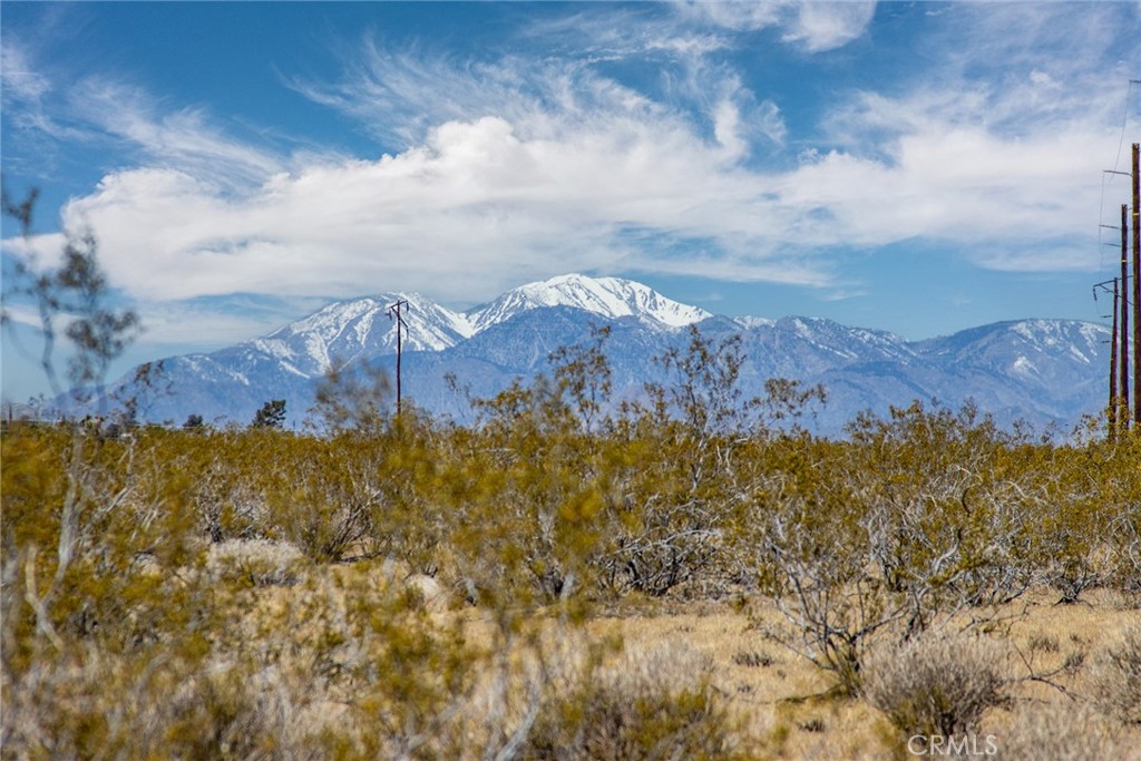 62600 Sullivan Road Joshua Tree, CA 92252 - Photo 2 of 15 a view of a city