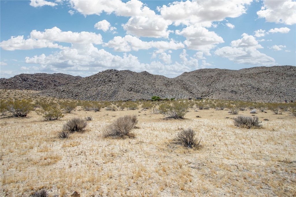 62600 Sullivan Road Joshua Tree, CA 92252 - Photo 8 of 15 a view of a dry yard with green space