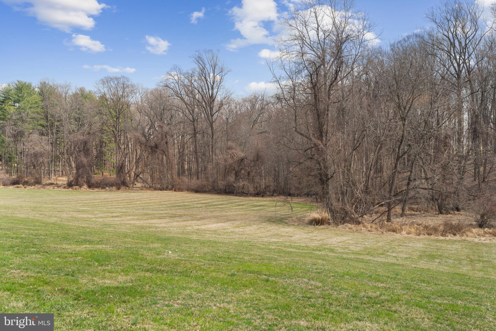 1410 Falls Crest Drive Fallston, MD 21047 - Photo 44 of 58 Private level backyard