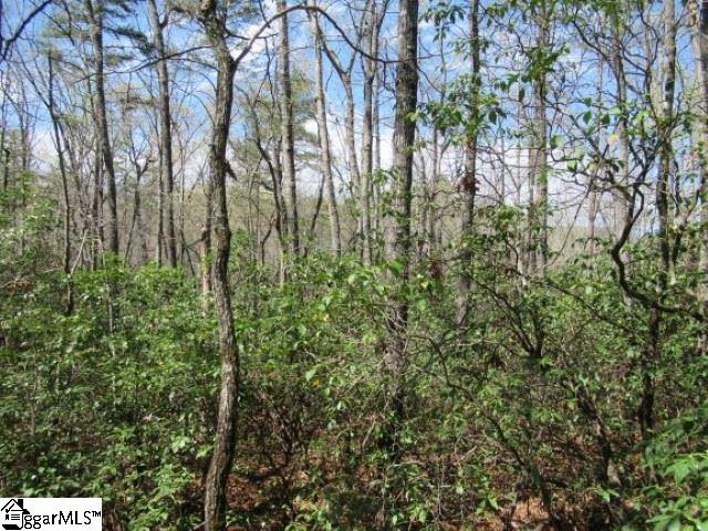 Saluda Hill Road Cleveland, SC 29635 - Photo 14 of 33