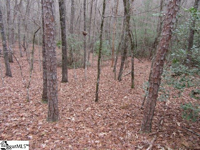 Saluda Hill Road Cleveland, SC 29635 - Photo 22 of 33