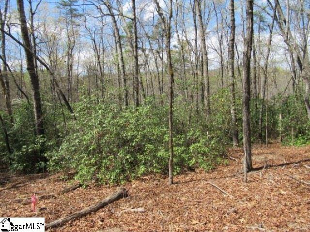 Saluda Hill Road Cleveland, SC 29635 - Photo 8 of 33
