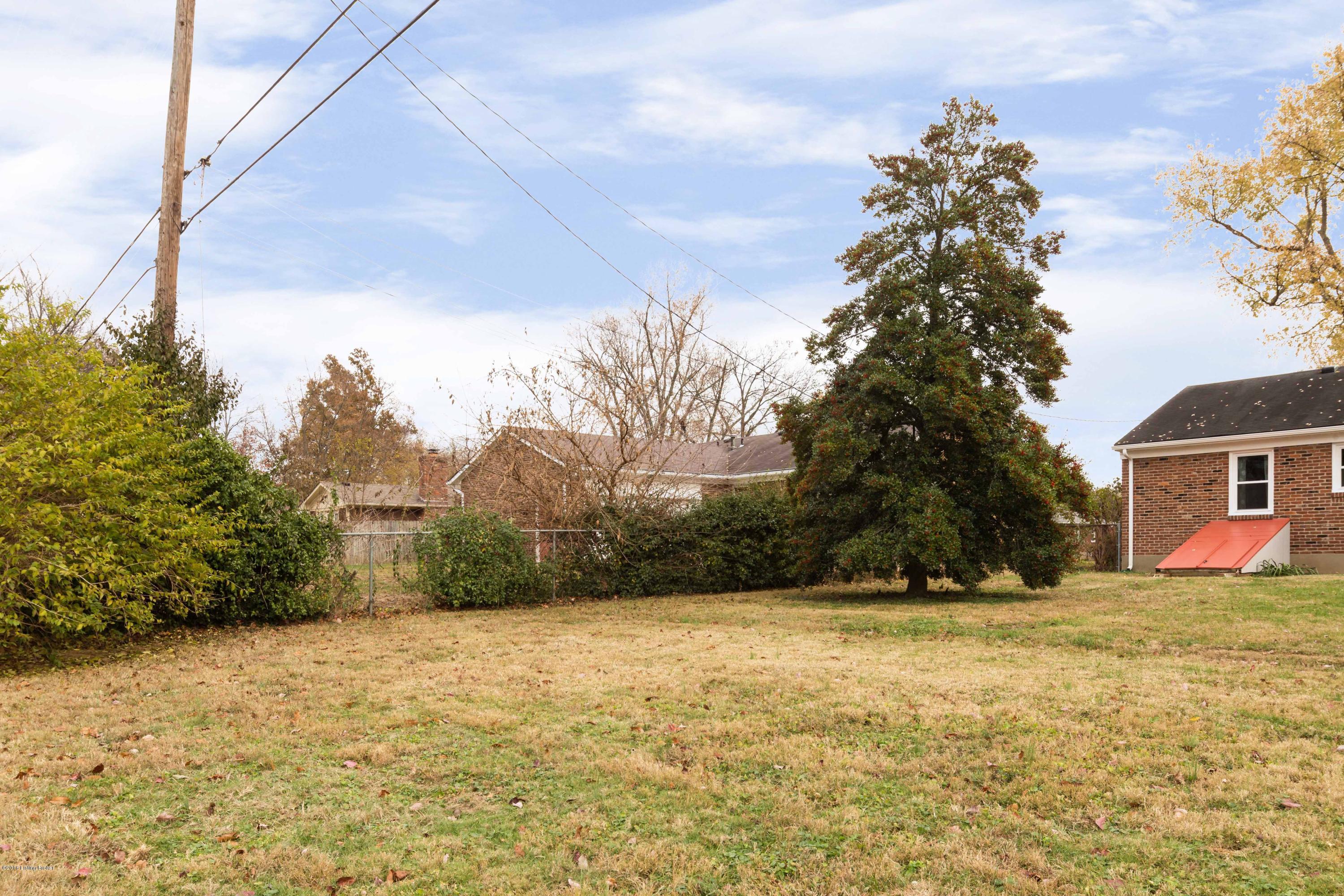 1919 Buttonwood Road Louisville, KY 40222 - Photo 37 of 37 Back Yard with large Holly Tree