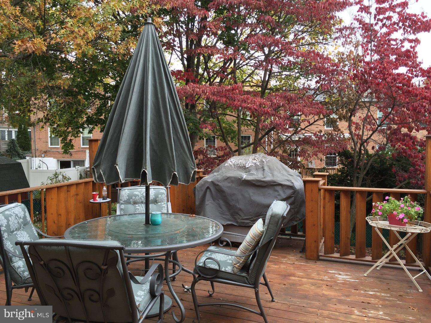 217 Parkdale Road Philadelphia, PA 19154 - Photo 16 of 18 Deck