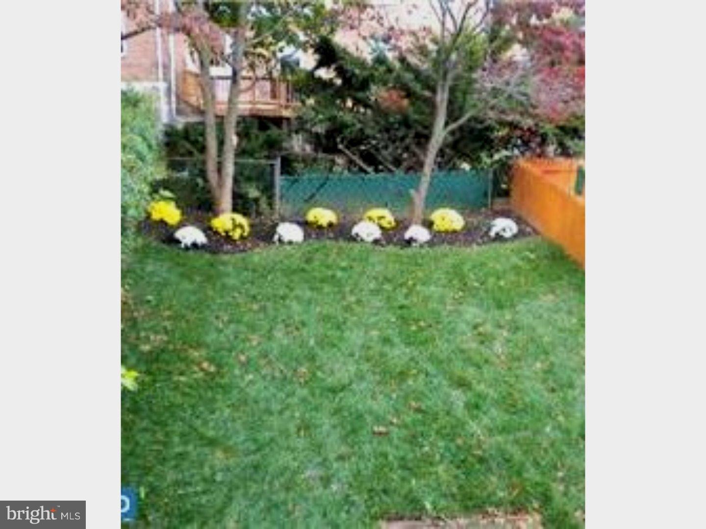 217 Parkdale Road Philadelphia, PA 19154 - Photo 17 of 18 Back Yard