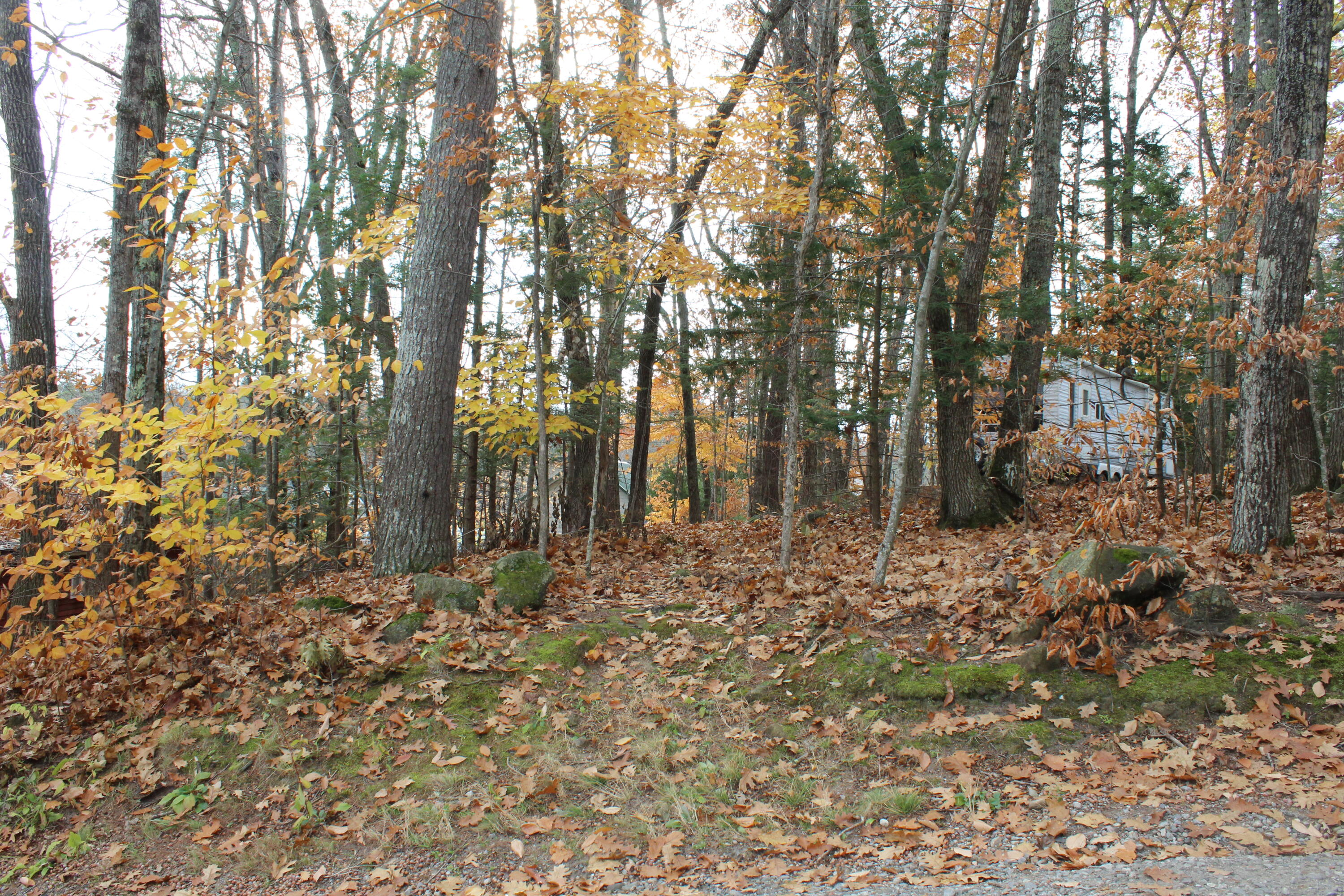 0 Harmony Road Casco, ME 04015 - Photo 2 of 12 IMG_5408