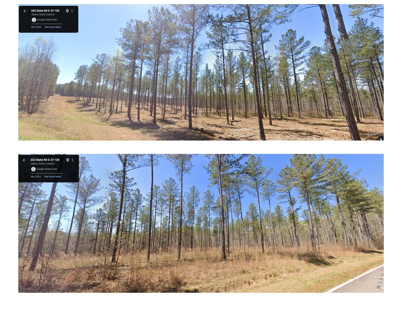 661 Nimmons Bridge Road Salem, SC 29676 - Photo 1 of 46 Gallery Image 1