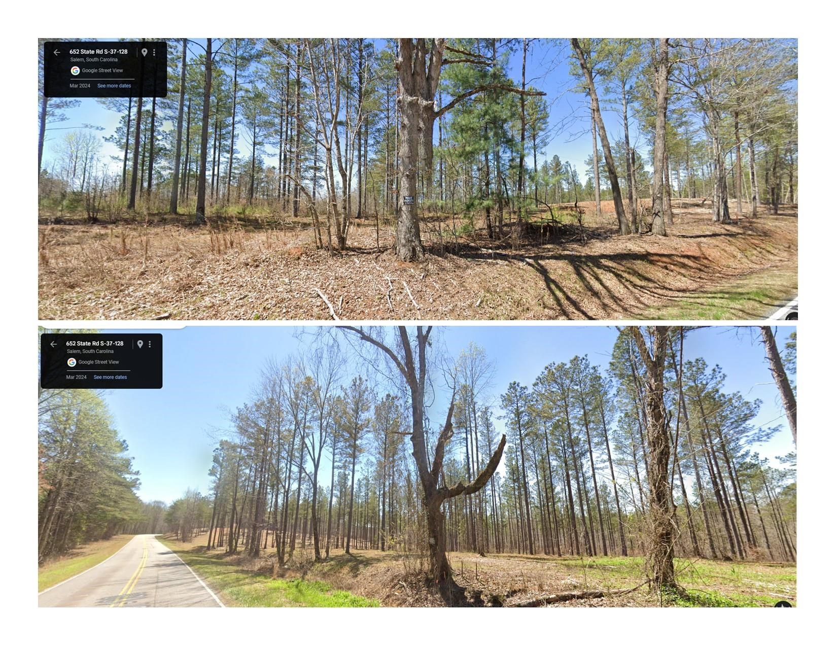 661 Nimmons Bridge Road Salem, SC 29676 - Photo 2 of 46 Gallery Image 2