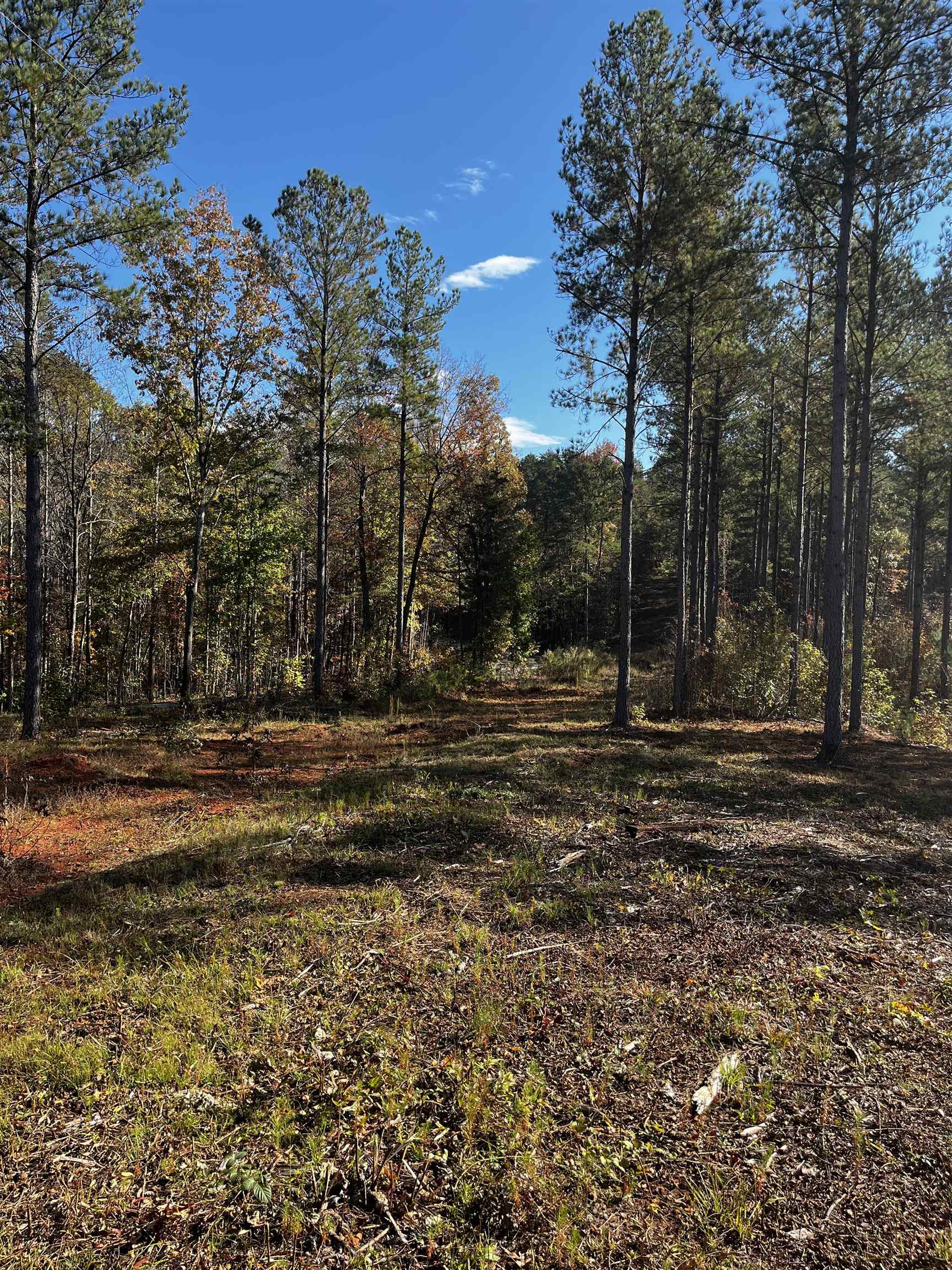661 Nimmons Bridge Road Salem, SC 29676 - Photo 23 of 46 Gallery Image 23
