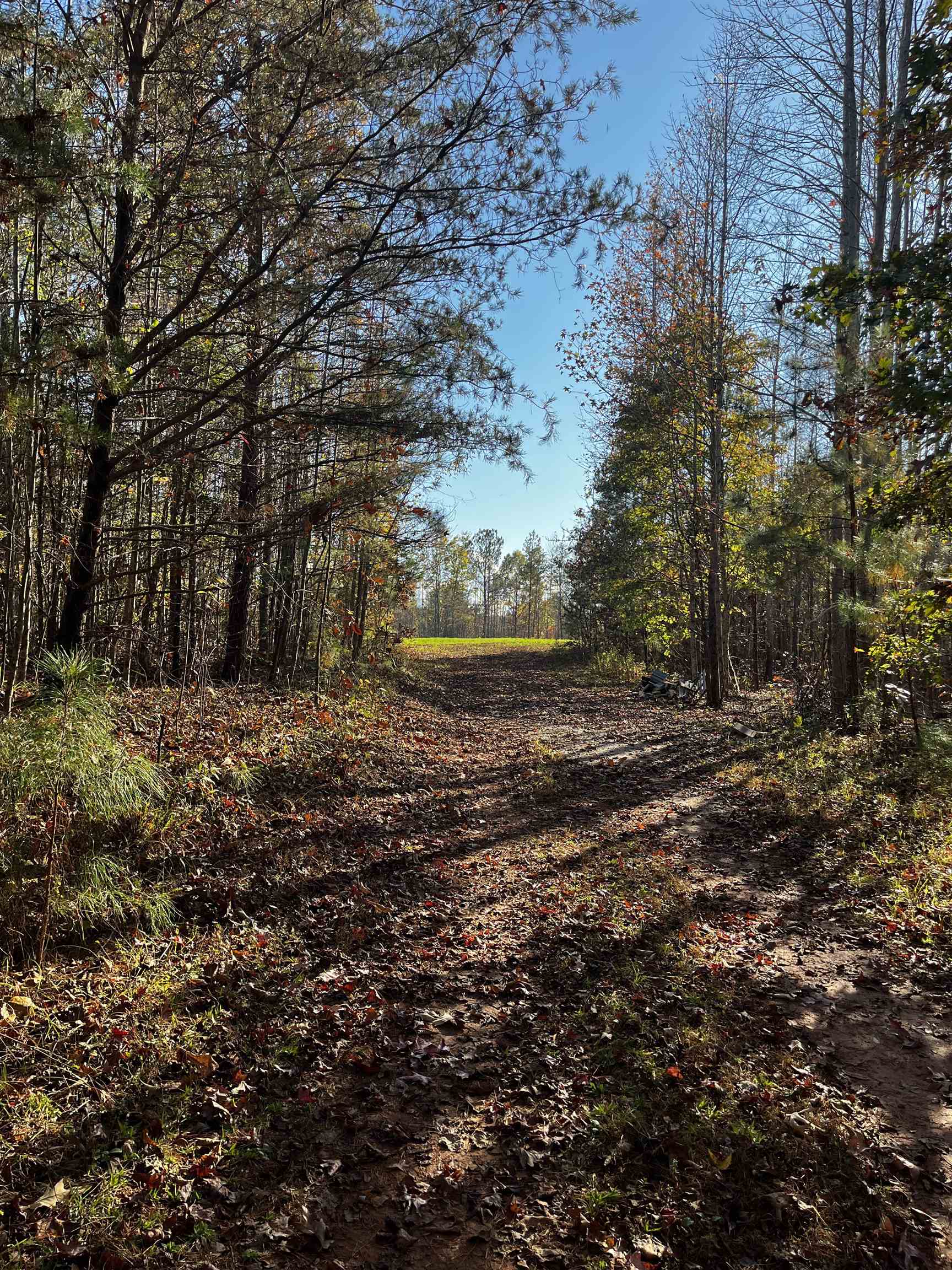661 Nimmons Bridge Road Salem, SC 29676 - Photo 40 of 46 Gallery Image 40