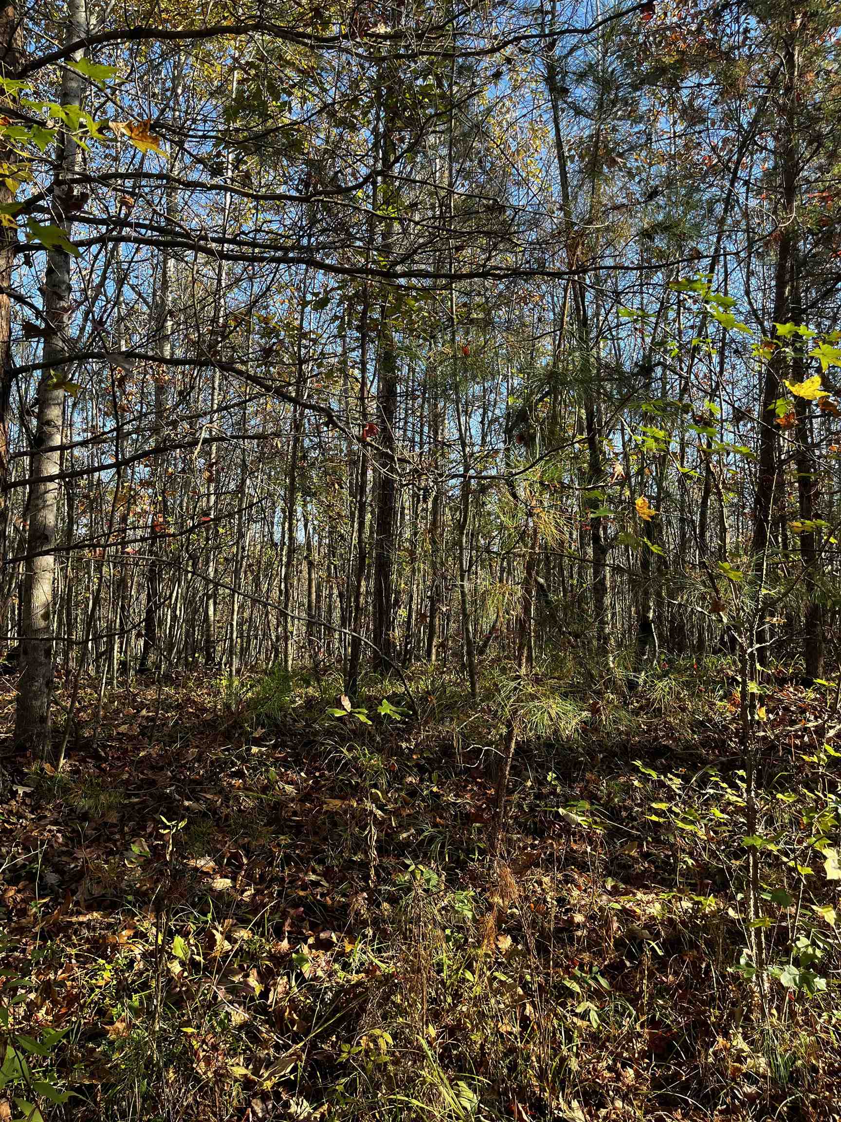 661 Nimmons Bridge Road Salem, SC 29676 - Photo 41 of 46 Gallery Image 41
