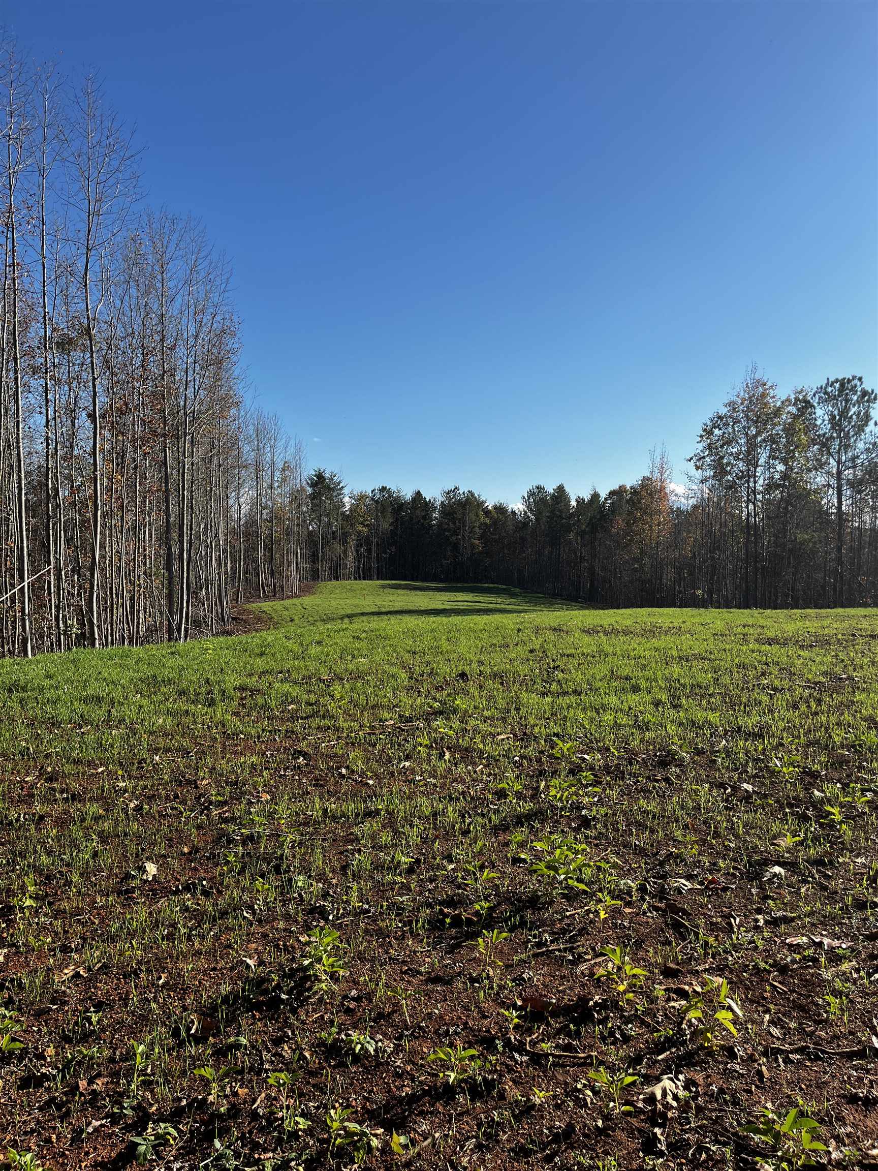 661 Nimmons Bridge Road Salem, SC 29676 - Photo 45 of 46 Gallery Image 45