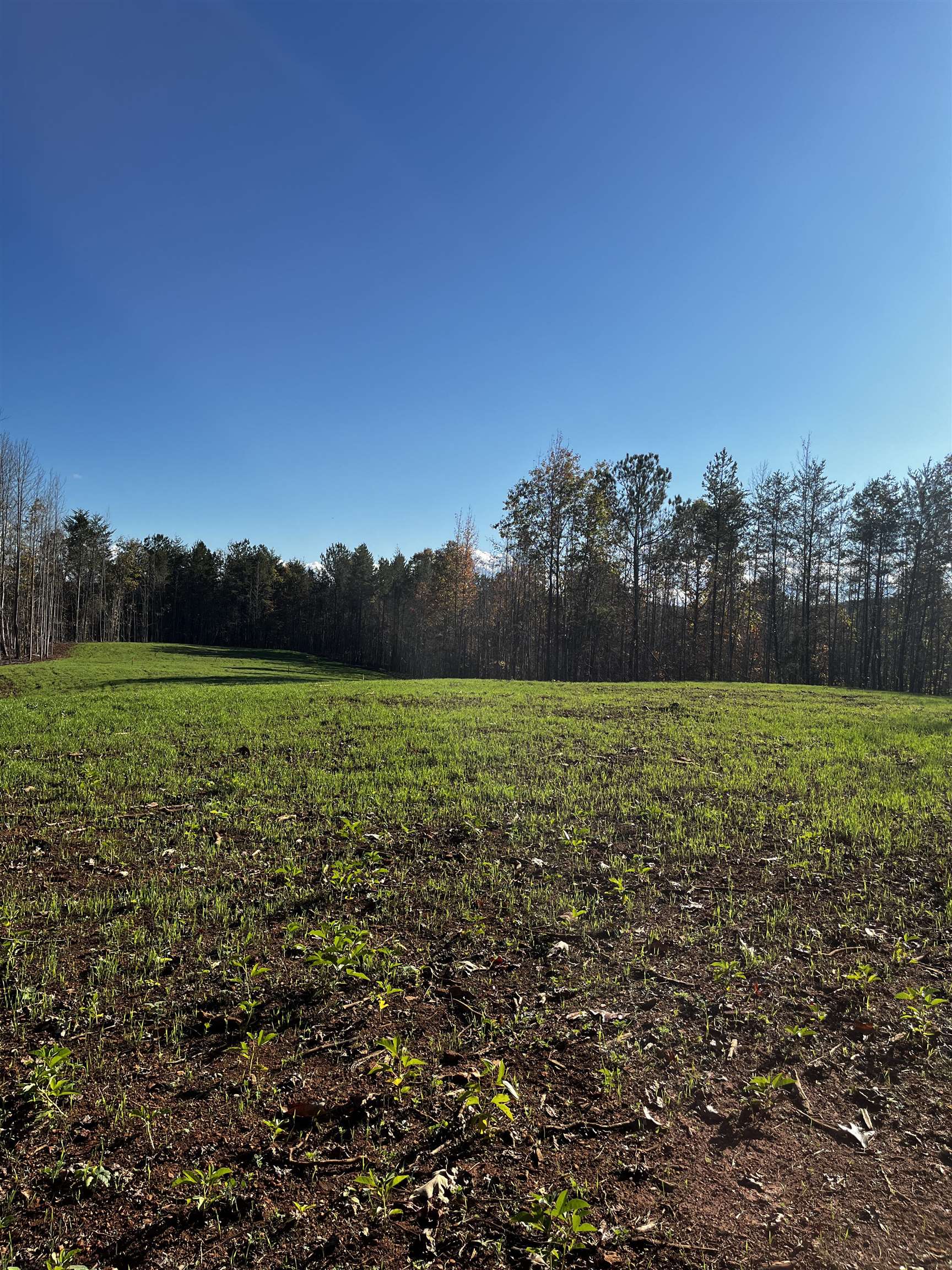 661 Nimmons Bridge Road Salem, SC 29676 - Photo 46 of 46 Gallery Image 46