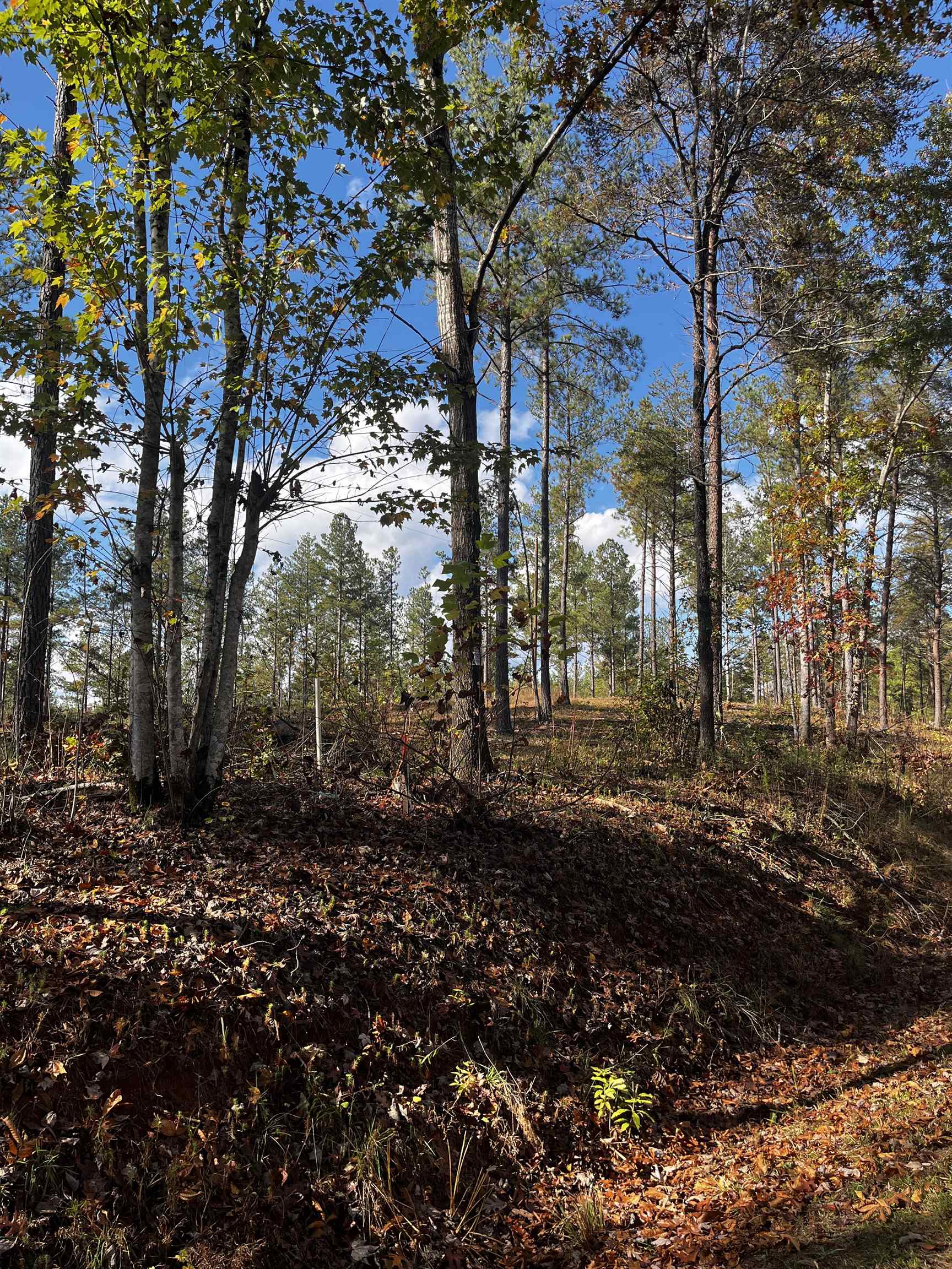 661 Nimmons Bridge Road Salem, SC 29676 - Photo 6 of 46 Gallery Image 6