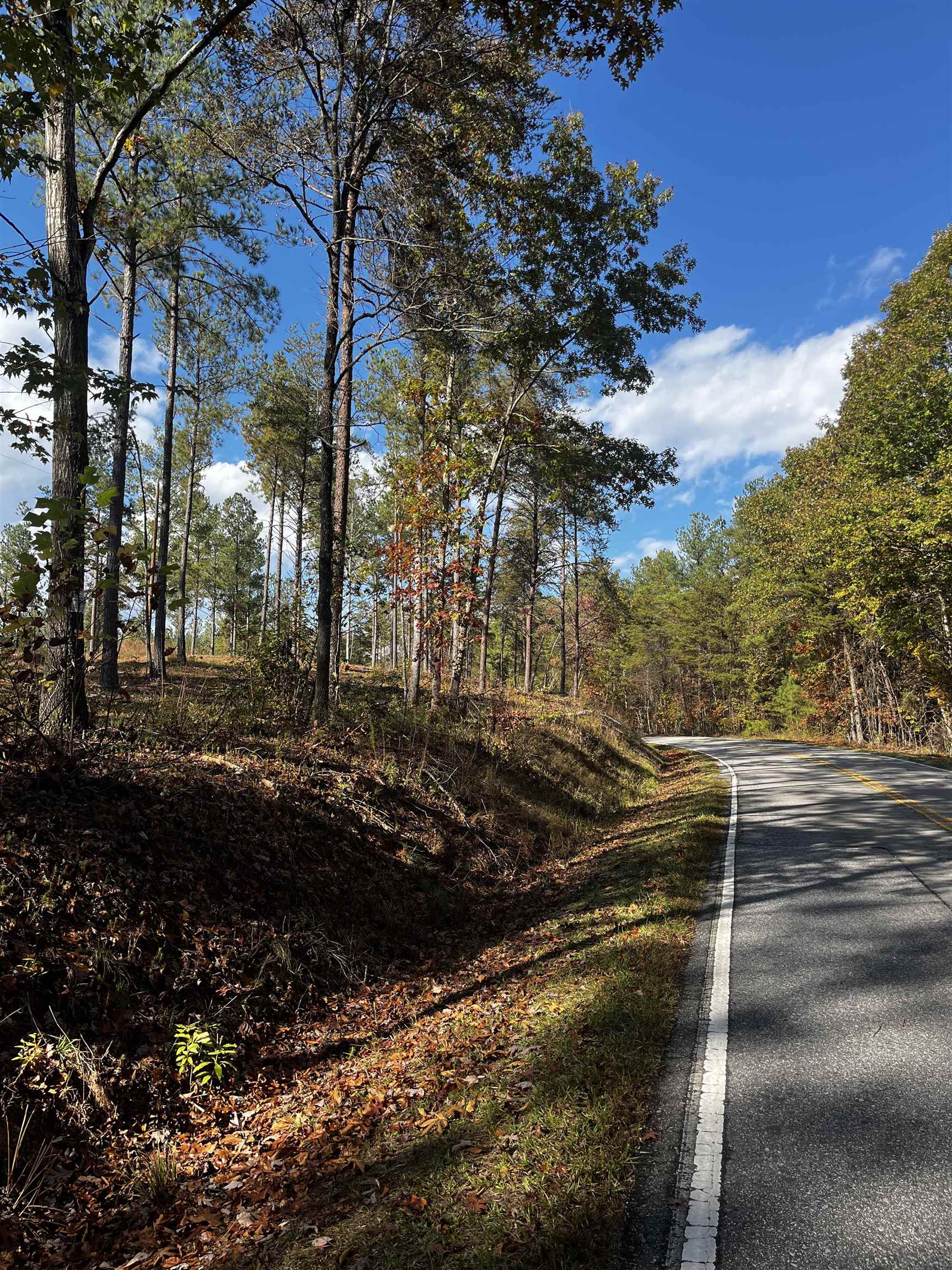 661 Nimmons Bridge Road Salem, SC 29676 - Photo 8 of 46 Gallery Image 8