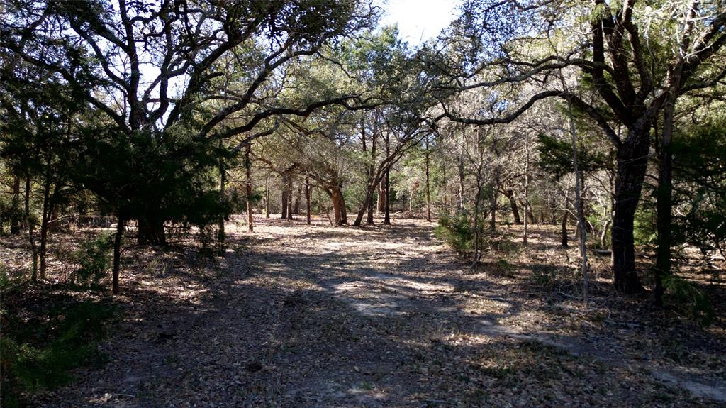 440 Boulton Creek Road Muldoon, TX 78949 - Photo 28 of 29