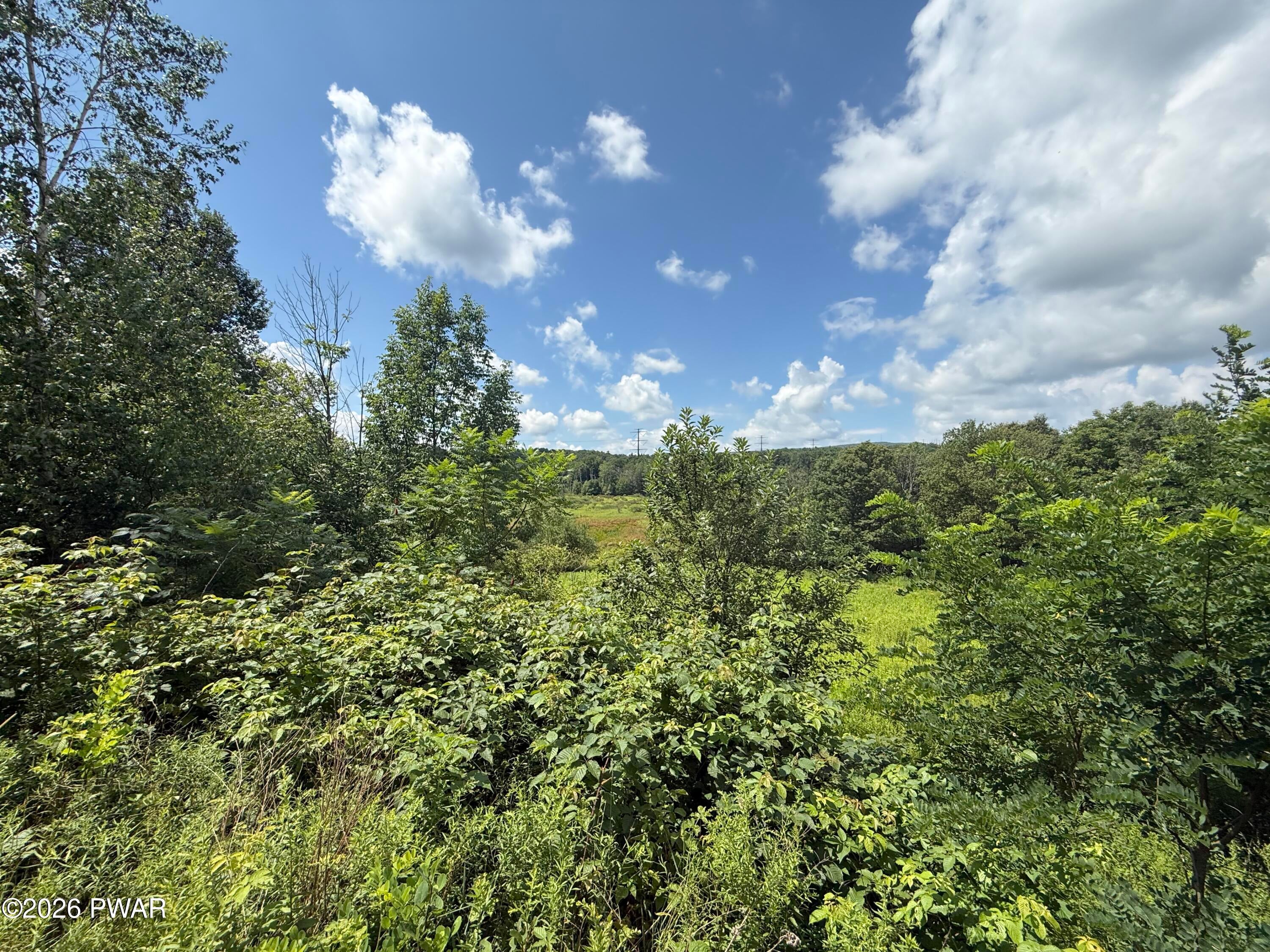 0 Mid Valley Road Lake Ariel, PA 18436 - Photo 4 of 7 Gallery Image 4