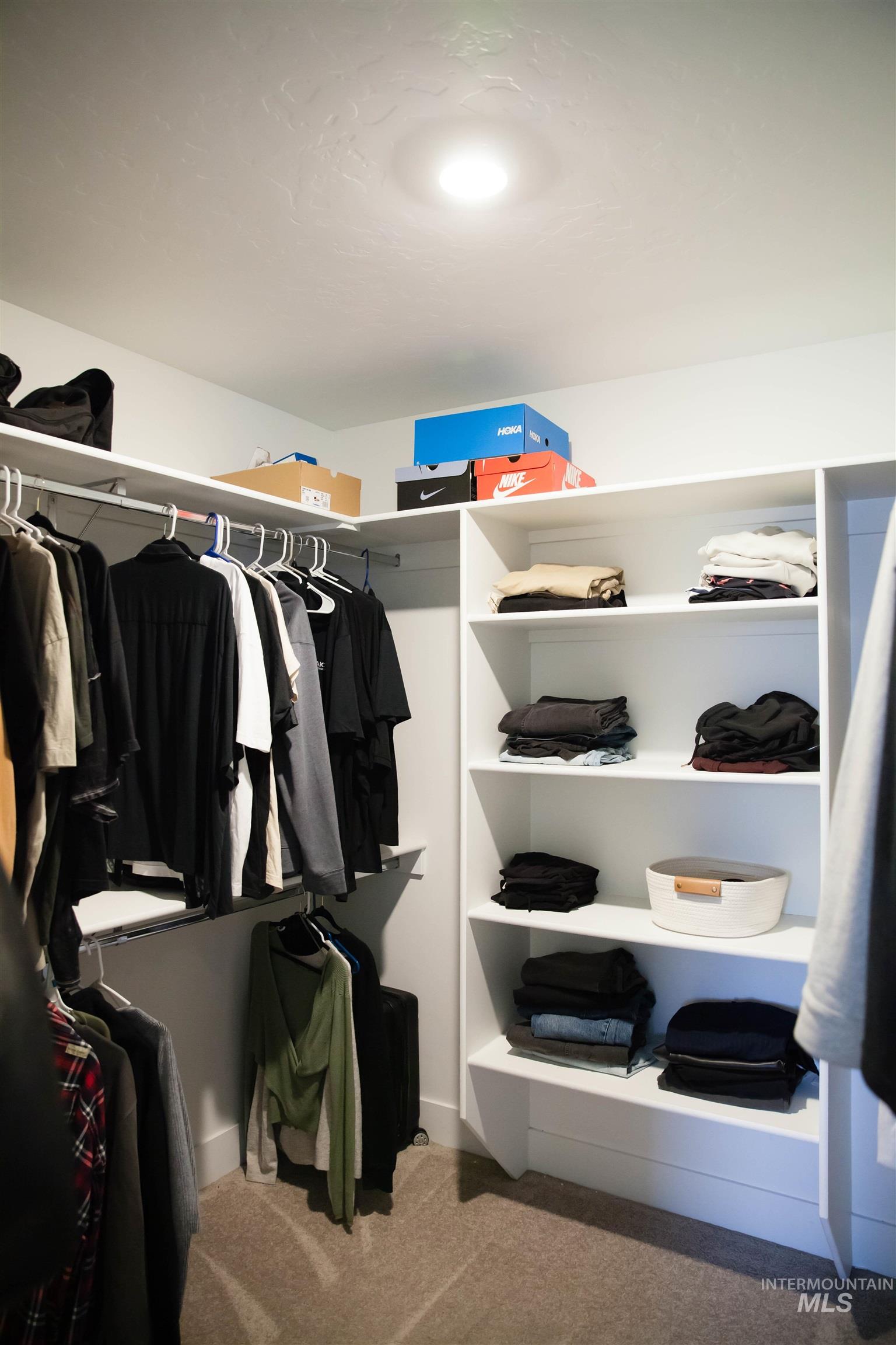 151 Insight Court Middleton, ID 83644 - Photo 22 of 35 Walk in closet with light colored carpet