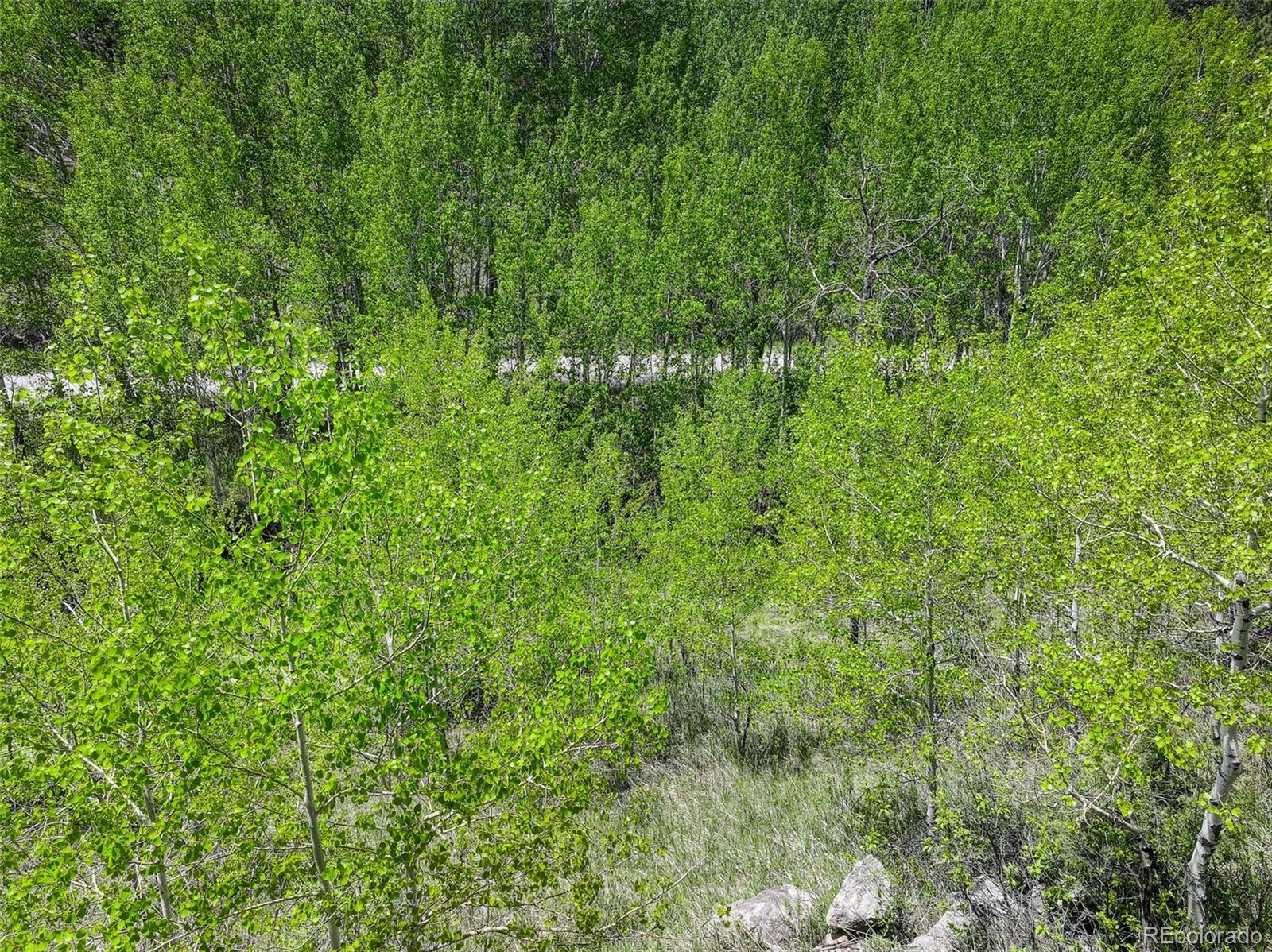 400 Crow Valley Road Bailey, CO 80421 - Photo 15 of 28
