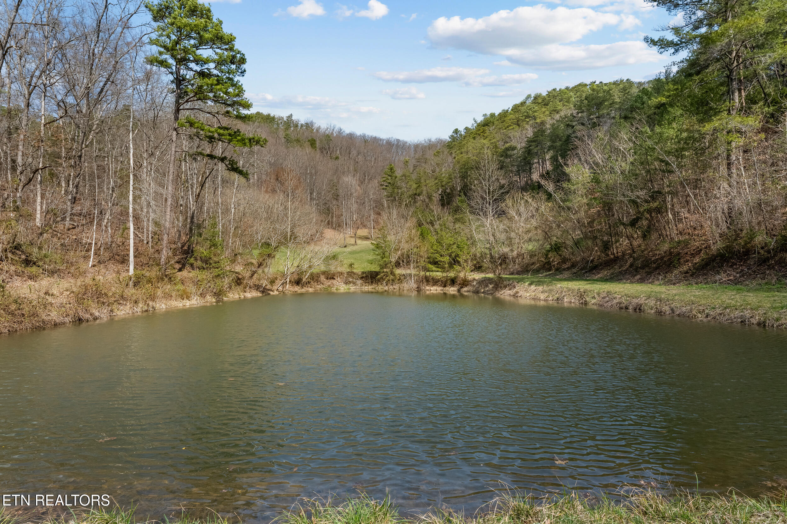 634 Old Cedar Creek Road Townsend, TN 37882 - Photo 7 of 20 16 634