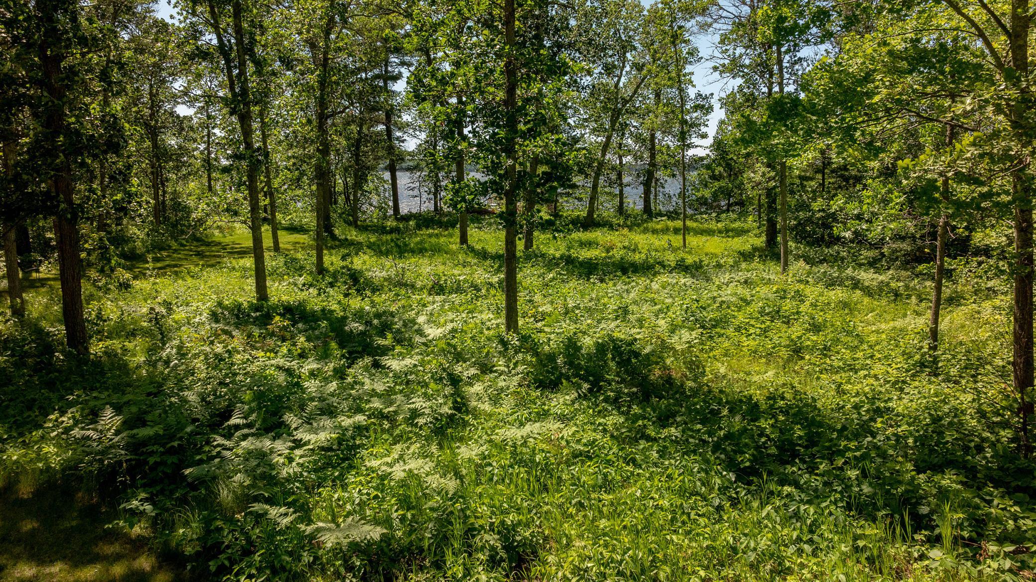 11027 Oak Point Road Northwest Cass Lake, MN 56633 - Photo 38 of 43