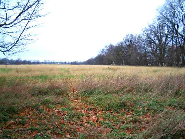 5 North Stony Lake Road Napoleon, MI 49261 - Photo 1 of 1 Photo 1