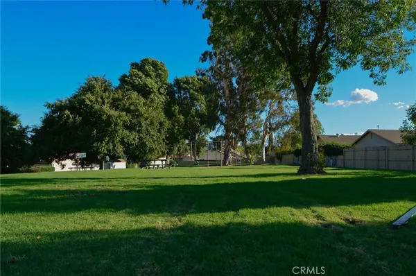 a view of a park