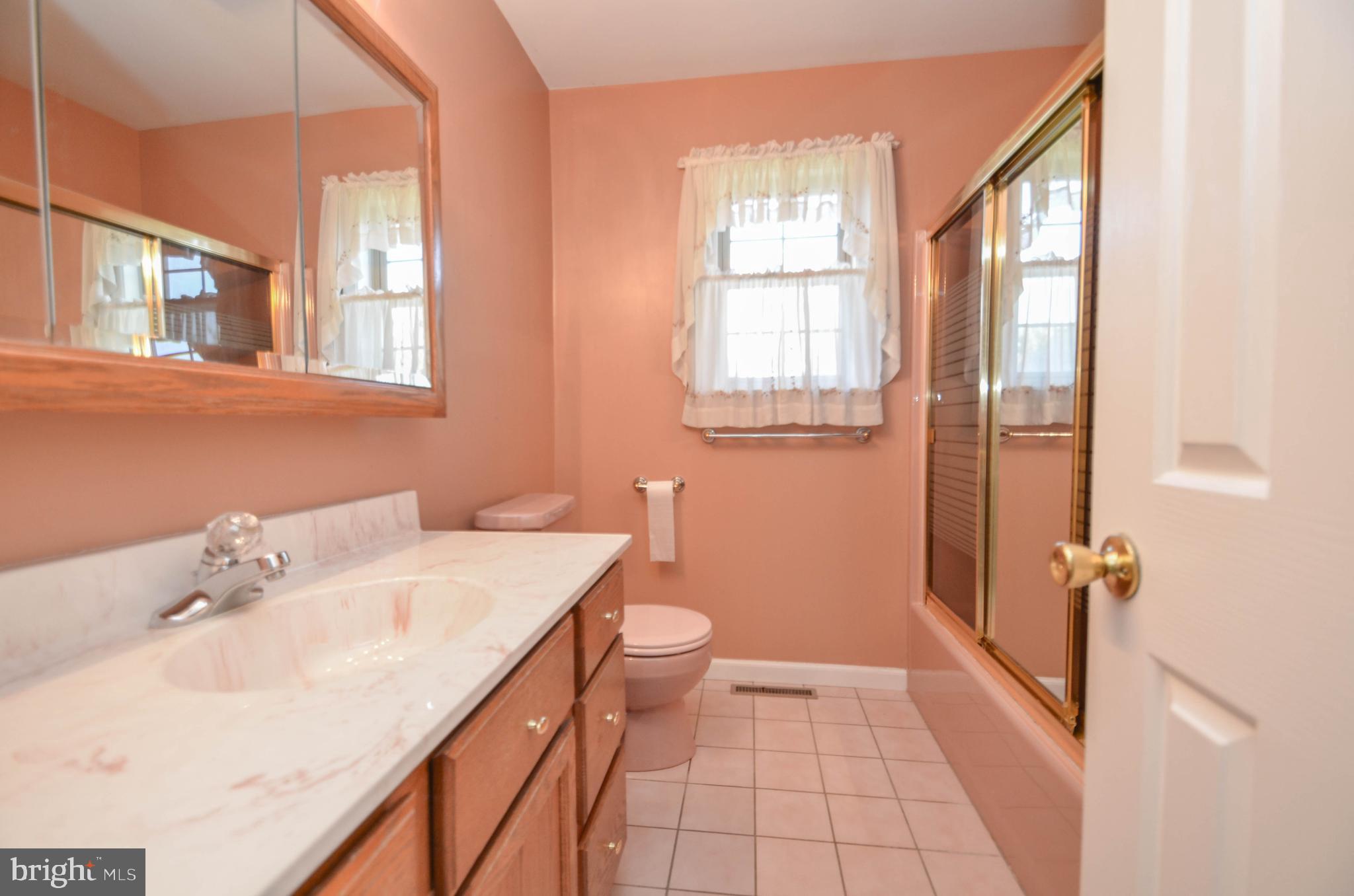 5382 Princeton Road Macungie, PA 18062 - Photo 24 of 33 a bathroom with a sink a toilet and shower