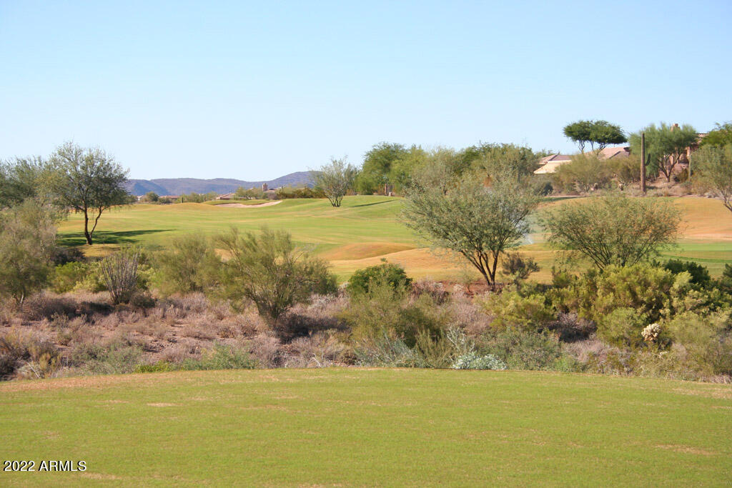 42004 North Crooked Stick Road Anthem, AZ 85086 - Photo 40 of 53 Persimmon #15