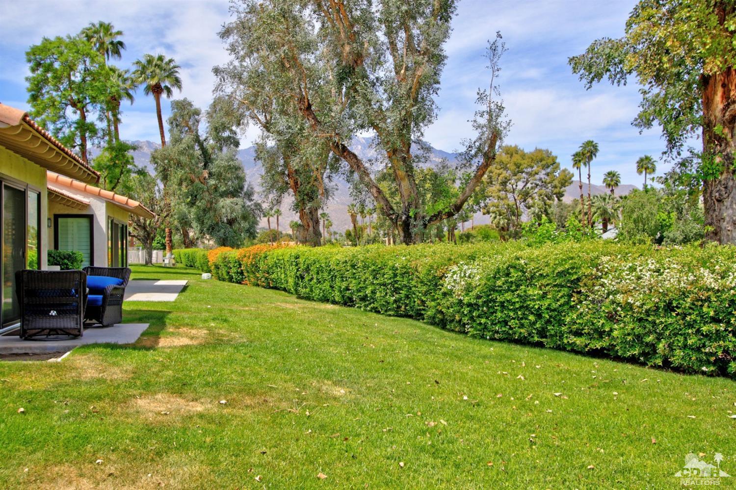 6012 East Driver Road Palm Springs, CA 92264 - Photo 36 of 47 a view of a backyard with plants and a garden