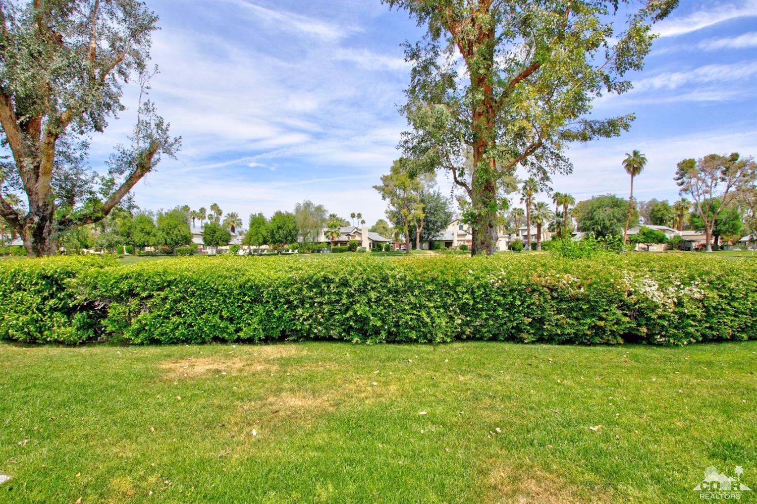 6012 East Driver Road Palm Springs, CA 92264 - Photo 38 of 47 a view of a garden with an trees