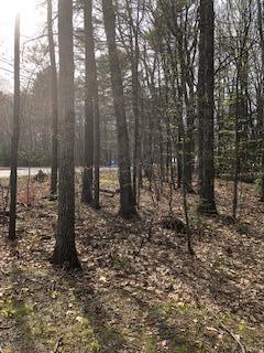 0 Evans Way Sebago, ME 04029 - Photo 8 of 10 0 Evans Way