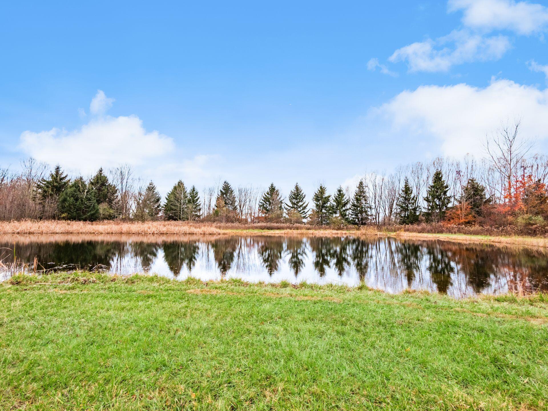 2218 Green Cook Road Galena, OH 43021 - Photo 79 of 86 pond
