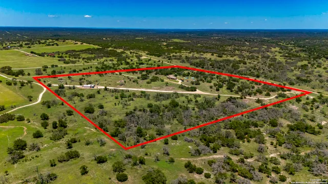 a view of a big yard with large trees and plants