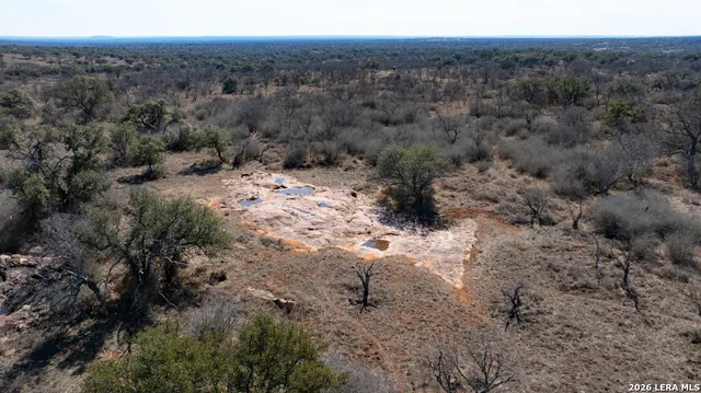 a view of a dry yard with trees in the background
