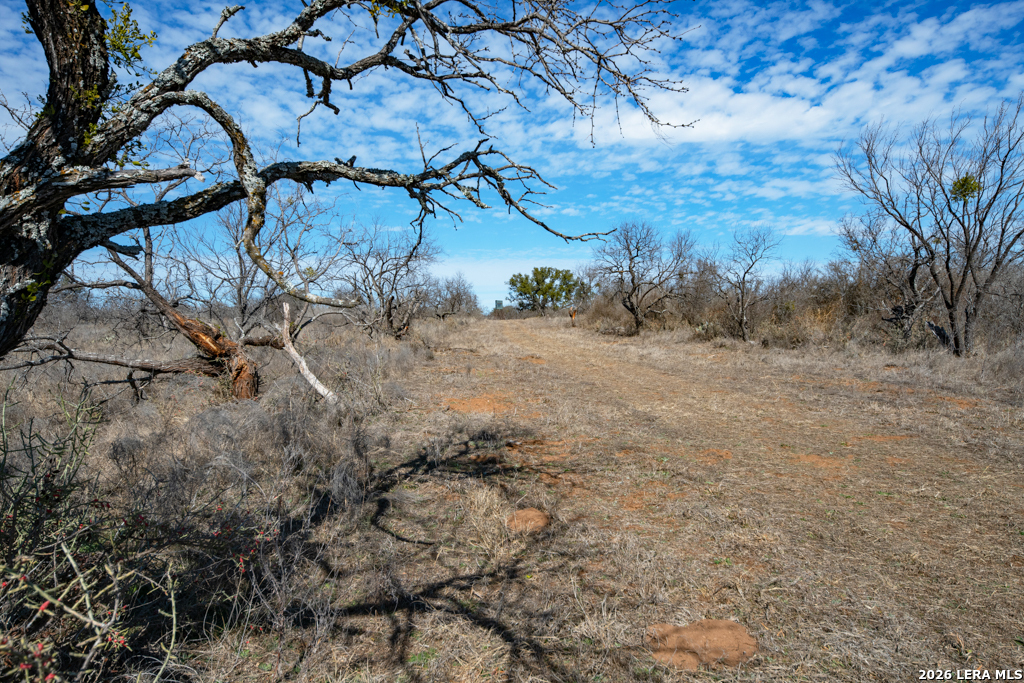 Tbd Hickory Grove Road Art, TX 76820 - Photo 5 of 24