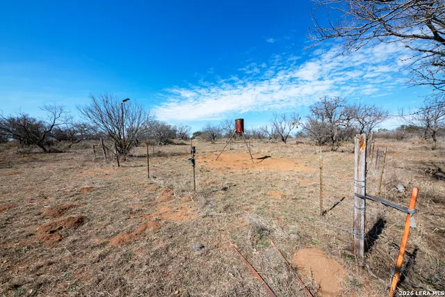 a view of dirt yard with large trees