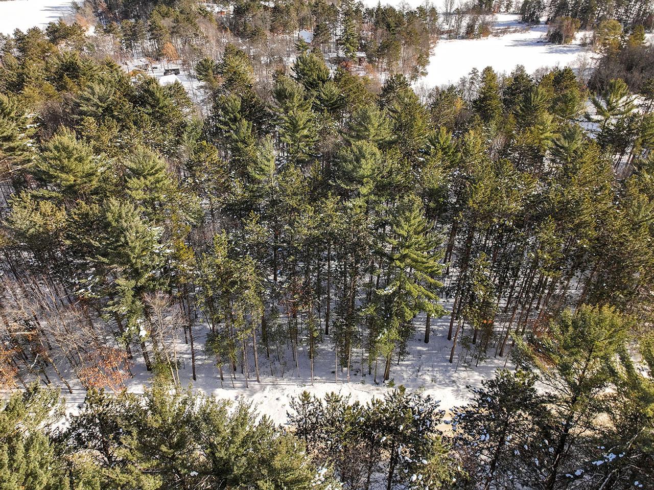 Lot 5-on Lot 5-on The Point Road Tomahawk, WI 54487 - Photo 22 of 22 Gallery Image 22