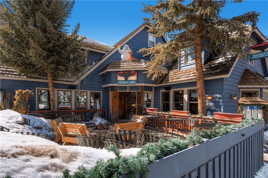 505 South Ridge Street, Unit 103 Breckenridge, CO 80424 - Photo 19 of 23 Gallery Image 19