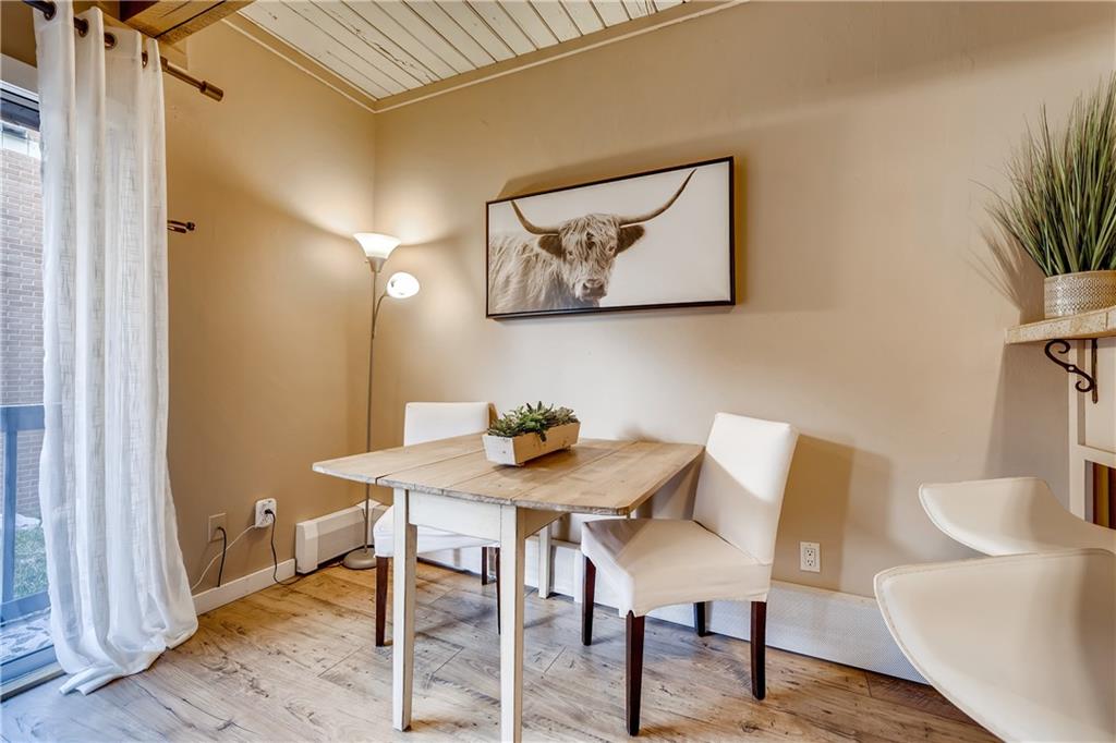505 South Ridge Street, Unit 103 Breckenridge, CO 80424 - Photo 4 of 23 Gallery Image 4