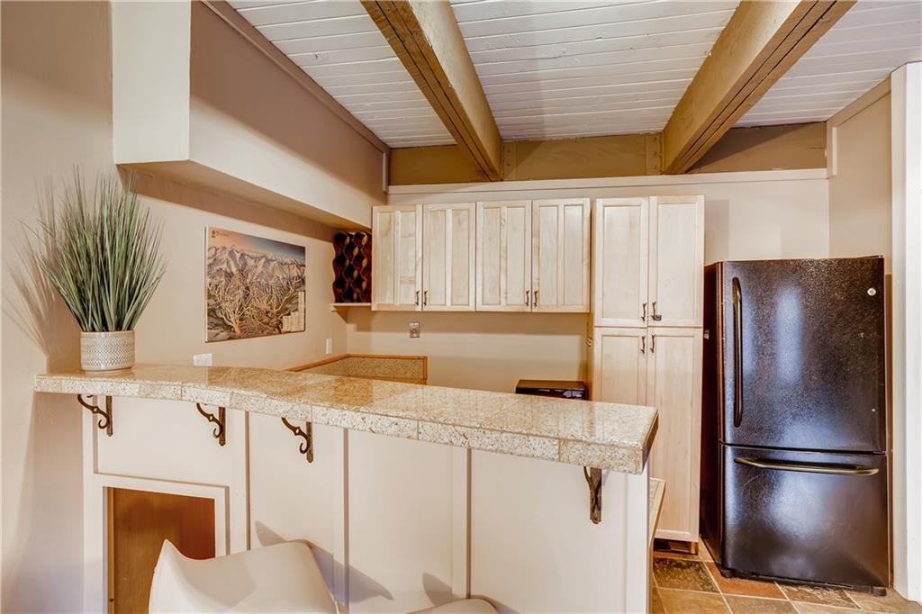 505 South Ridge Street, Unit 103 Breckenridge, CO 80424 - Photo 6 of 23 Gallery Image 6