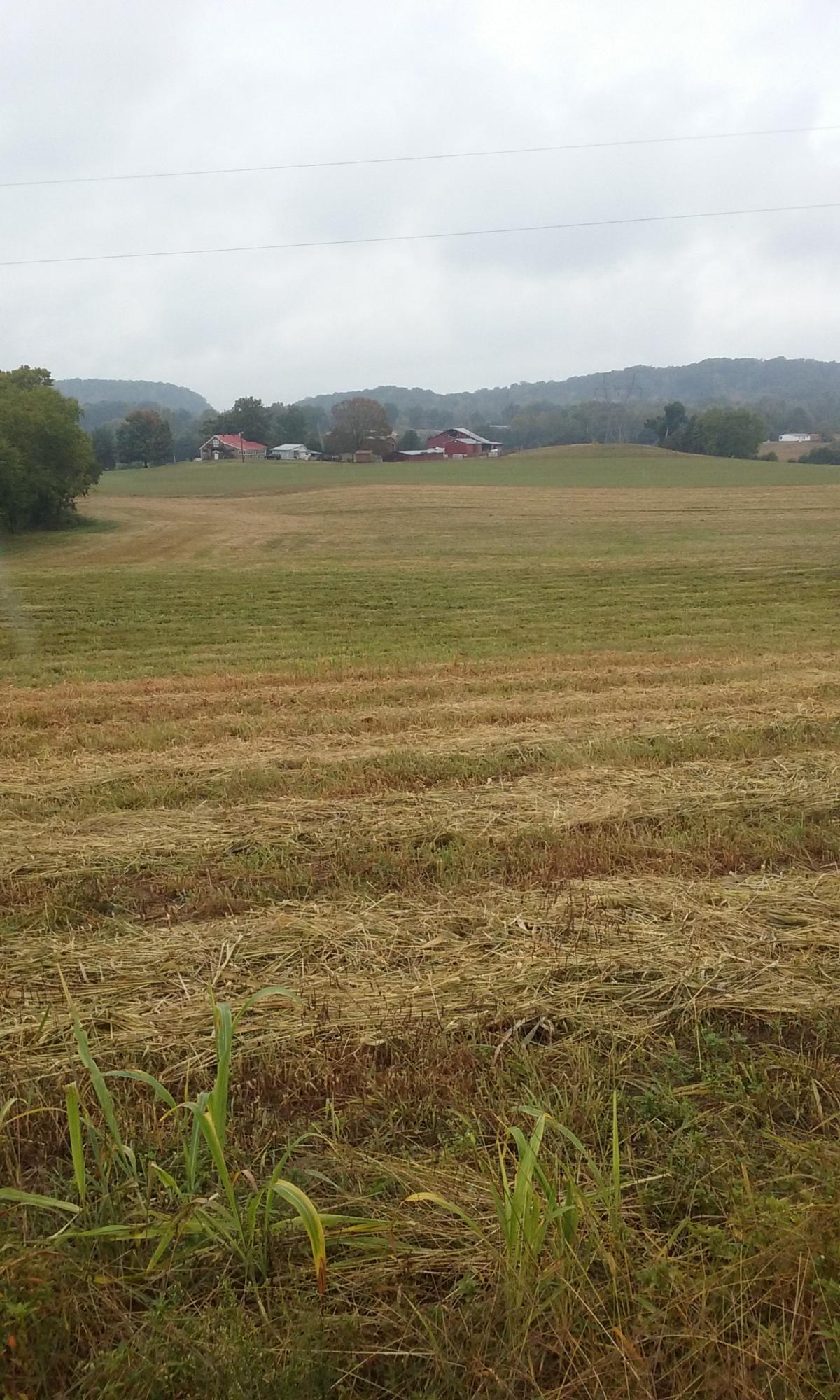 Johnson Church Road Philadelphia, TN 37846 - Photo 1 of 33 014