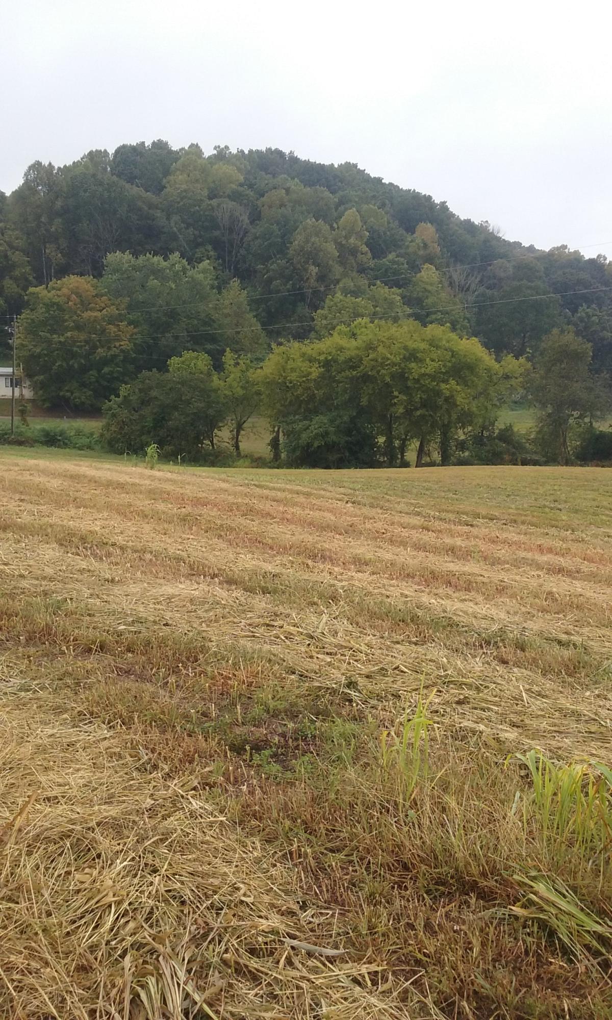 Johnson Church Road Philadelphia, TN 37846 - Photo 2 of 33 012
