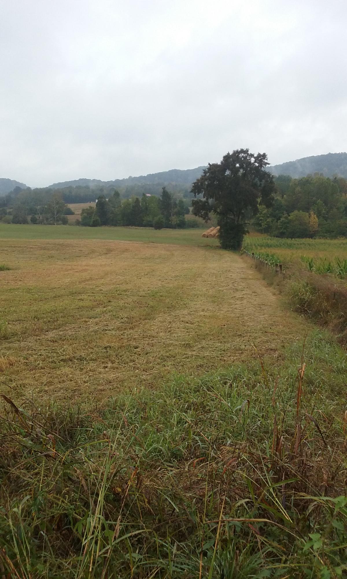 Johnson Church Road Philadelphia, TN 37846 - Photo 11 of 33 019