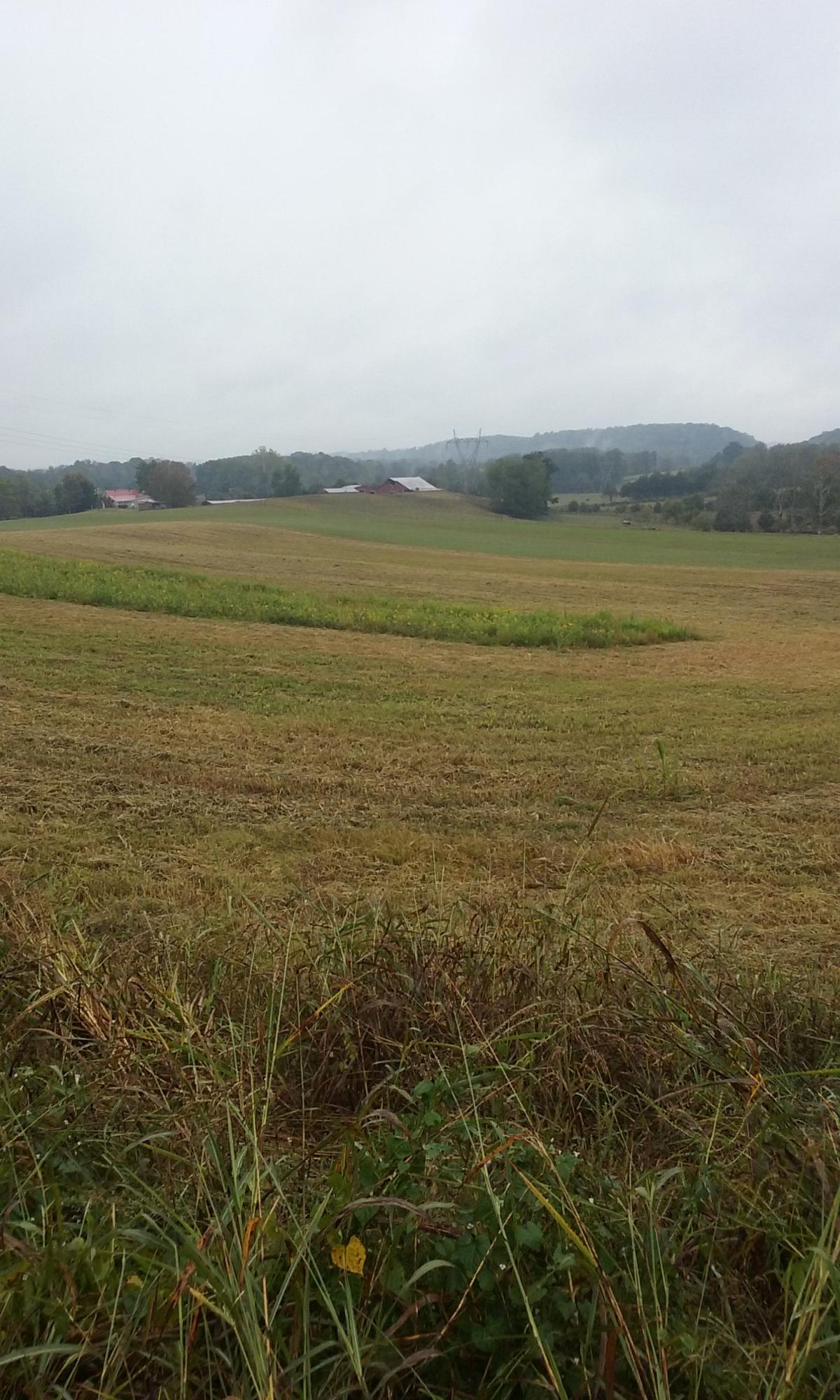 Johnson Church Road Philadelphia, TN 37846 - Photo 12 of 33 020