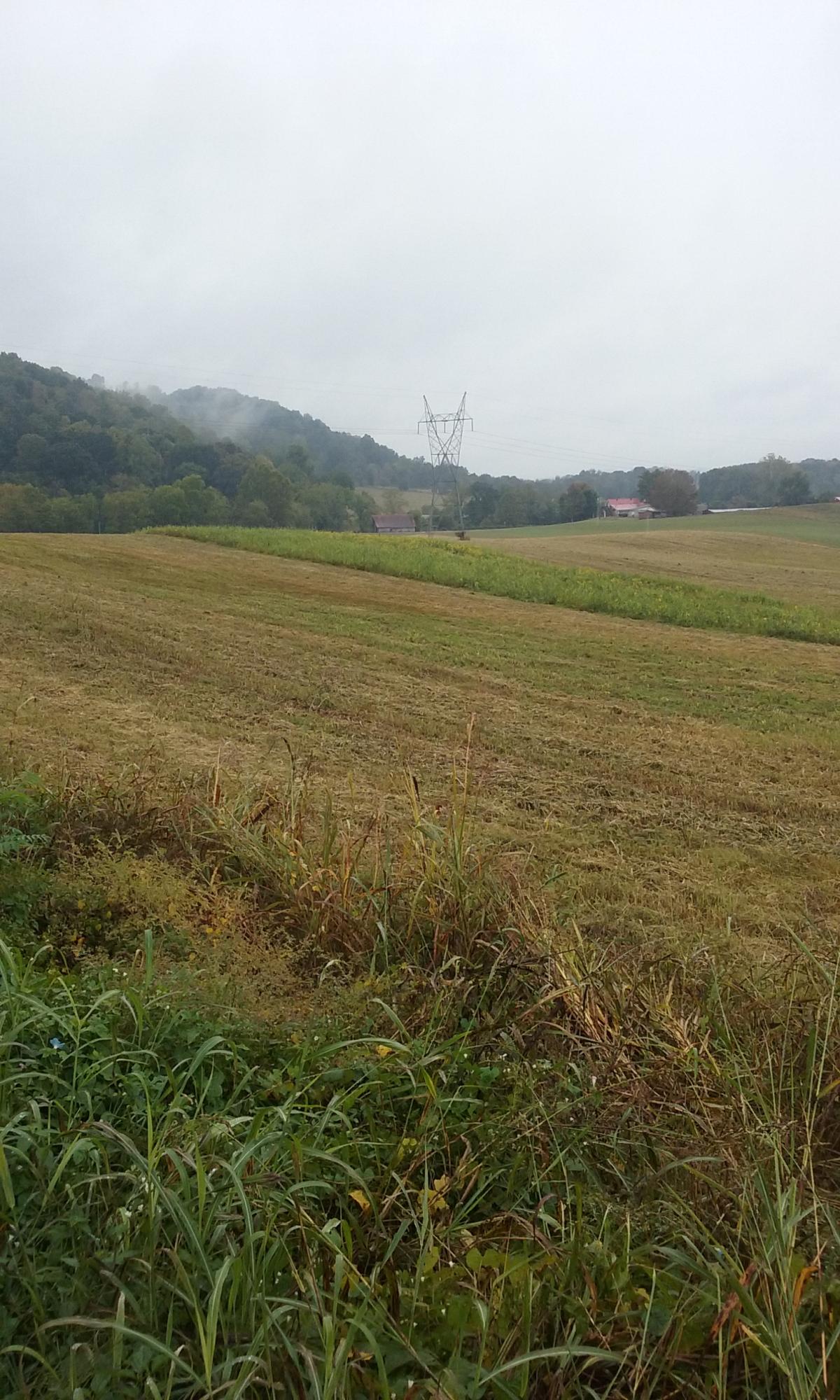 Johnson Church Road Philadelphia, TN 37846 - Photo 13 of 33 021