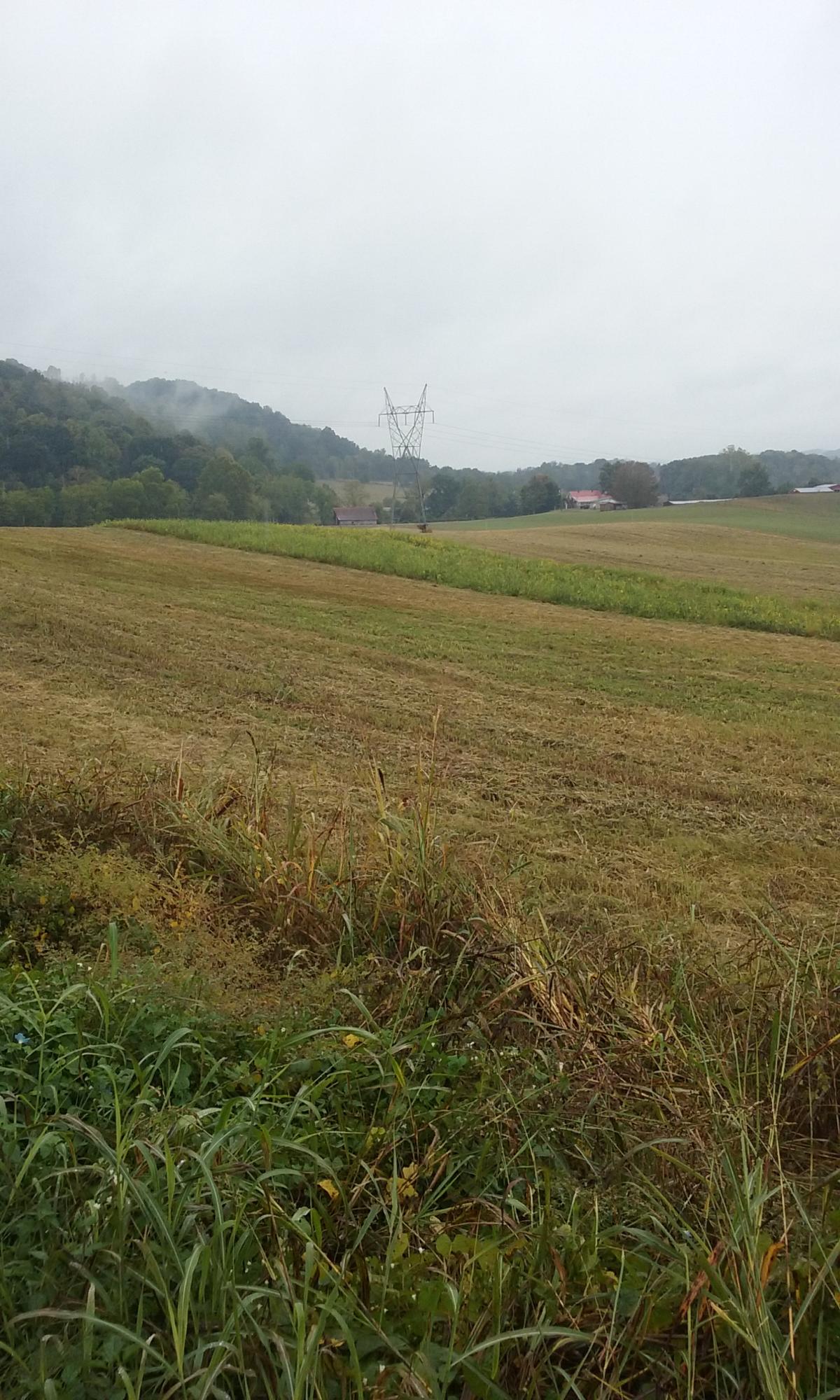 Johnson Church Road Philadelphia, TN 37846 - Photo 15 of 33 023