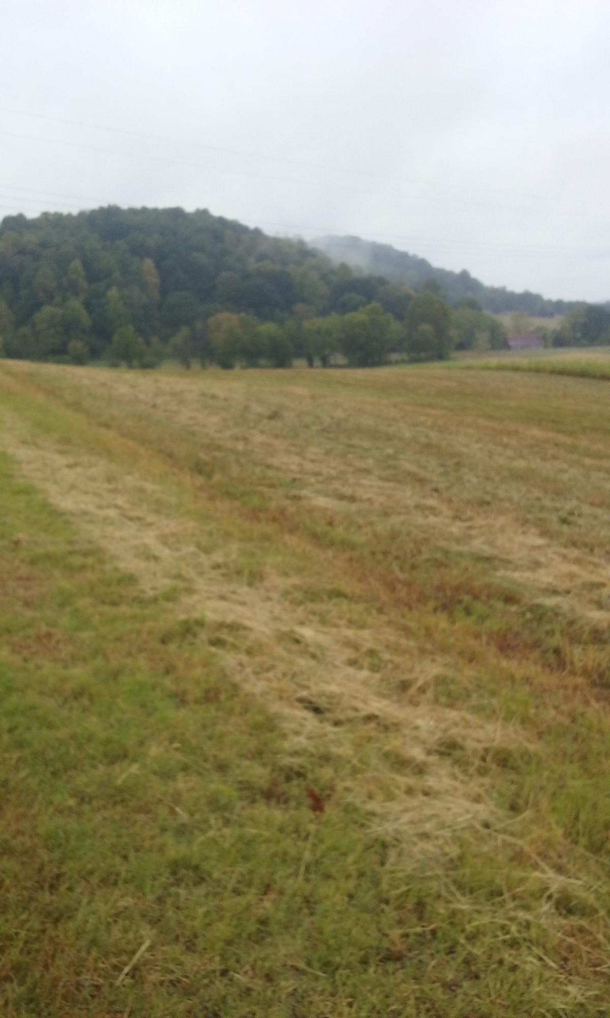 Johnson Church Road Philadelphia, TN 37846 - Photo 16 of 33 024