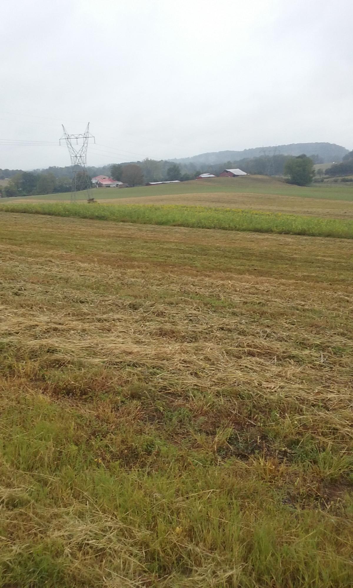 Johnson Church Road Philadelphia, TN 37846 - Photo 17 of 33 025