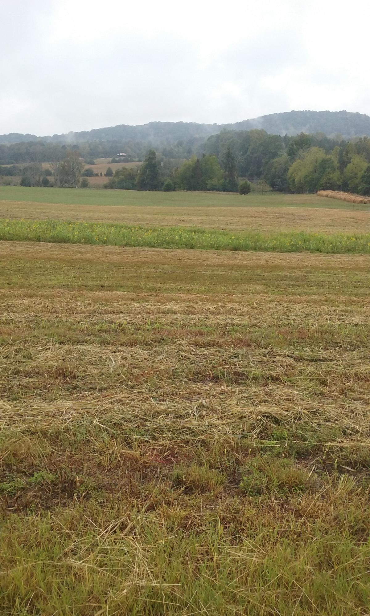 Johnson Church Road Philadelphia, TN 37846 - Photo 18 of 33 026
